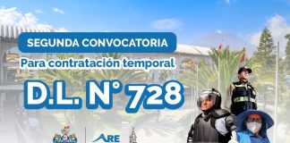 Convocatoria D.L. 728
