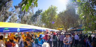 I Festival del Adobo, un éxito rotundo: se llenaron las mesas y no quedó ni un plato