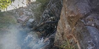 SERENOS CONTROLAN INCENDIO EN INMEDIACIONES DEL RÍO CHILI, BAJO PUENTE DE FIERRO