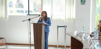 MUNICIPALIDAD PROVINCIAL DE AREQUIPA APRUEBA BASES PARA CONCURSO PÚBLICO BAJO EL DECRETO LEGISLATIVO N.º 728