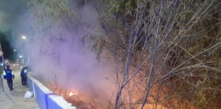 AMAGO DE INCENDIO EN PUENTE GRAU FUE CONTROLADO CON APOYO DE SERENAZGO