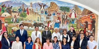 CONSEJO DE SALUD PRIORIZARÁ PRINCIPALES PROBLEMAS DE SALUD EN AREQUIPA