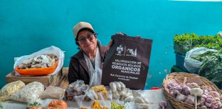 Municipalidad de Arequipa y mercados locales consolidan sistema de gestión de residuos orgánicos para el 2026