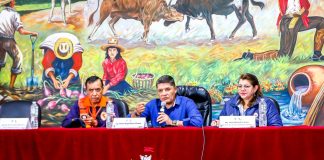 ALCALDE DE AREQUIPA SOLICITA DECLARATORIA DE EMERGENCIA DE 20 DISTRITOS POR INTENSAS LLUVIAS